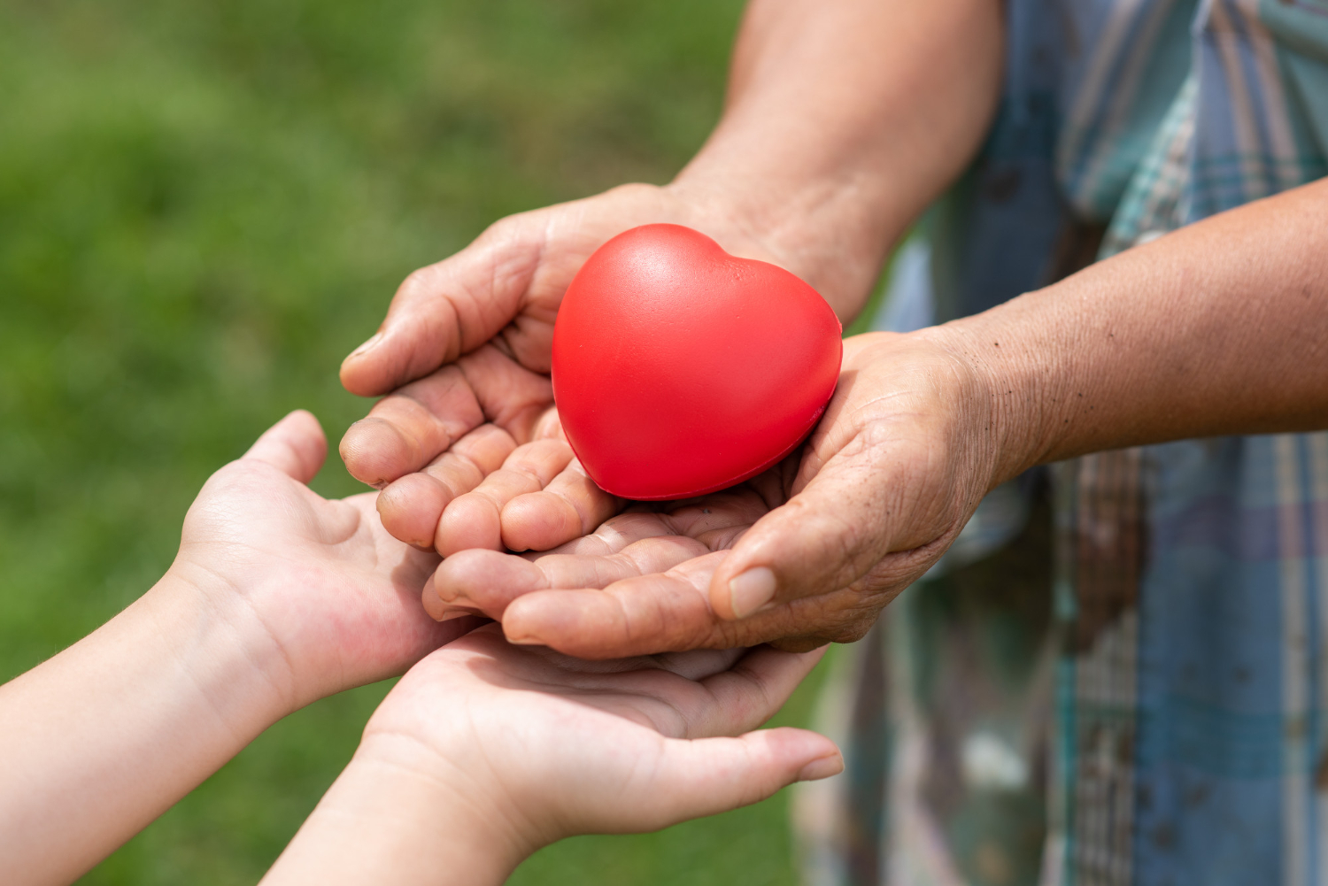 people-holding-rubber-heart